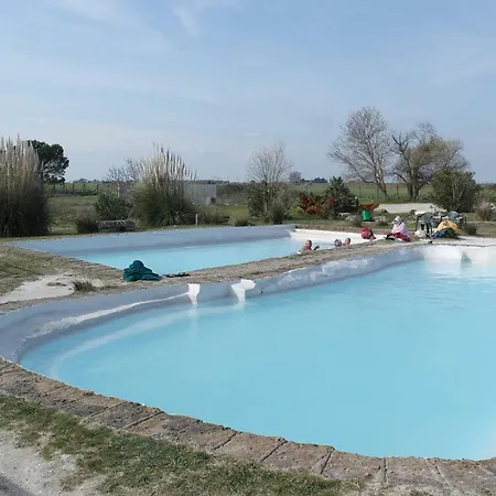 Terme *